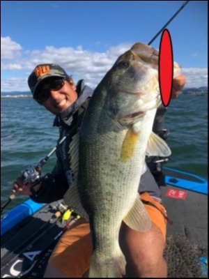 hideup 永野総一朗 ブログ写真 2018/06/14