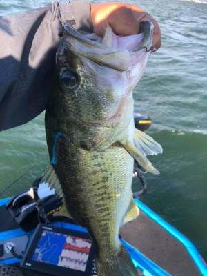 hideup 永野総一朗 ブログ写真 2018/06/14