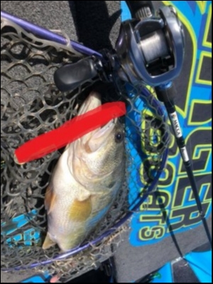 hideup 永野総一朗 ブログ写真 2018/06/14