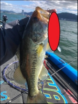 hideup 永野総一朗 ブログ写真 2018/06/14