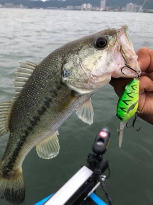 hideup 永野総一朗 ブログ写真 2018/06/16