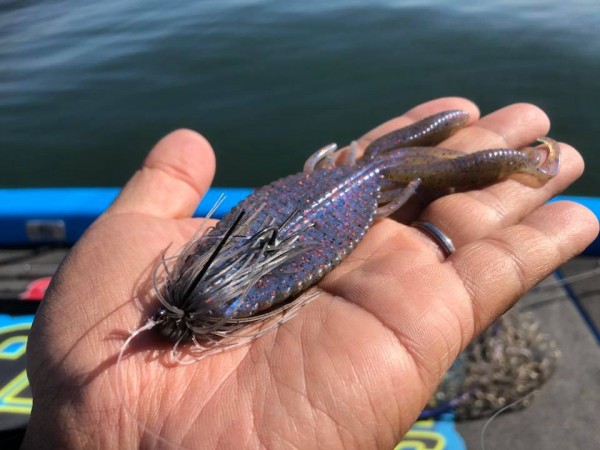 hideup 永野総一朗 ブログ写真 2018/06/16