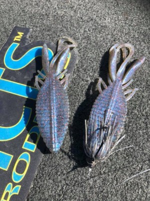 hideup 永野総一朗 ブログ写真 2018/06/16