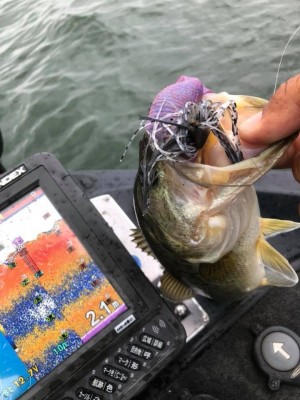 hideup 永野総一朗 ブログ写真 2018/06/21