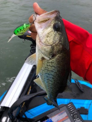 hideup 永野総一朗 ブログ写真 2018/06/21