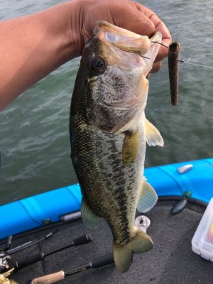 hideup 永野総一朗 ブログ写真 2018/06/21