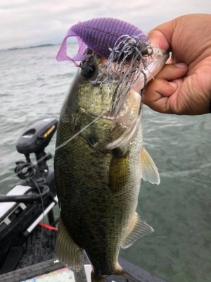 hideup 永野総一朗 ブログ写真 2018/06/21