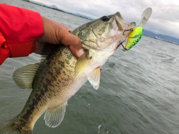 hideup 永野総一朗 ブログ写真 2018/06/21