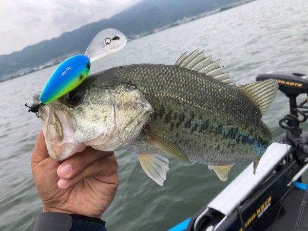 hideup 永野総一朗 ブログ写真 2018/06/23