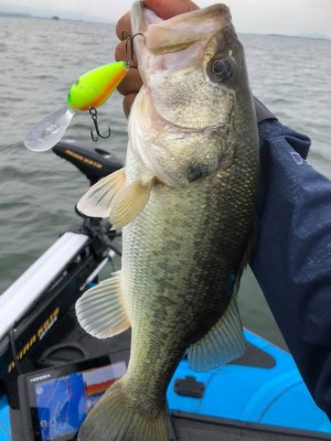 hideup 永野総一朗 ブログ写真 2018/06/23