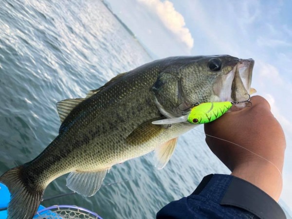 hideup 永野総一朗 ブログ写真 2018/06/23