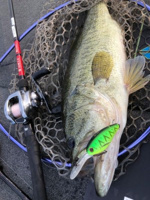 hideup 永野総一朗 ブログ写真 2018/06/23