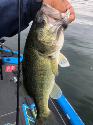 hideup 永野総一朗 ブログ写真 2018/06/23