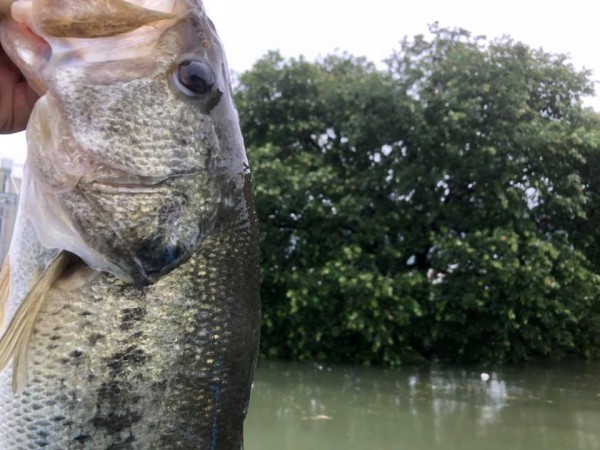 hideup 永野総一朗 ブログ写真 2018/07/08