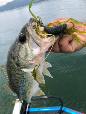 hideup 永野総一朗 ブログ写真 2018/07/11