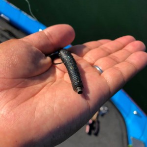 hideup 永野総一朗 ブログ写真 2018/07/15