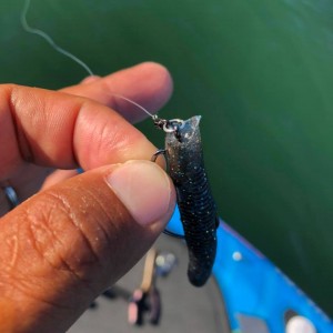 hideup 永野総一朗 ブログ写真 2018/07/15