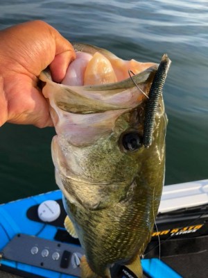 hideup 永野総一朗 ブログ写真 2018/07/15