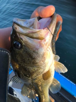 hideup 永野総一朗 ブログ写真 2018/07/17