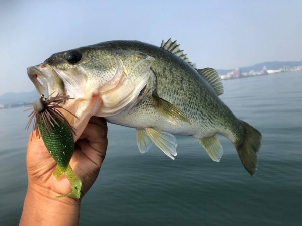 hideup 永野総一朗 ブログ写真 2018/07/18