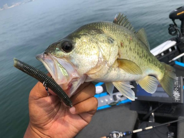 hideup 永野総一朗 ブログ写真 2018/07/18