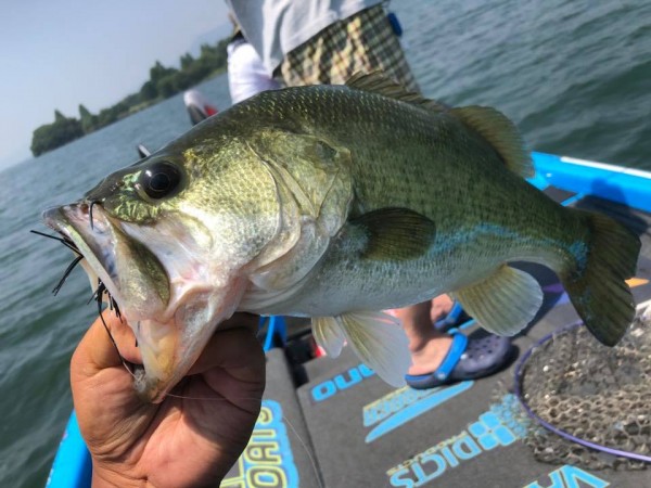 hideup 永野総一朗 ブログ写真 2018/07/20
