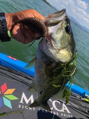 hideup 永野総一朗 ブログ写真 2018/08/02