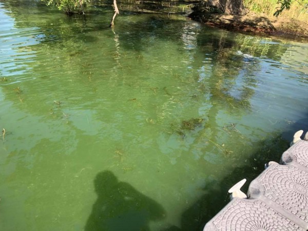 hideup 永野総一朗 ブログ写真 2018/08/02