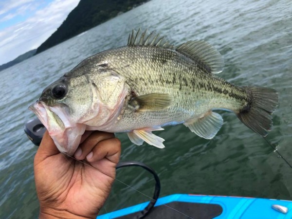 hideup 永野総一朗 ブログ写真 2018/08/10