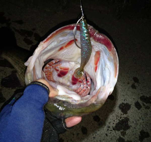 hideup 永野総一朗 ブログ写真 2018/08/12