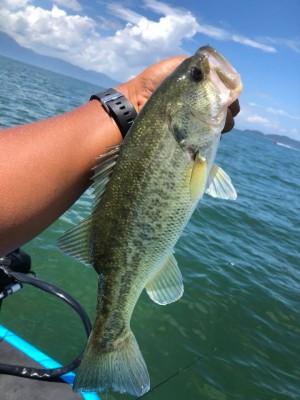 hideup 永野総一朗 ブログ写真 2018/08/14