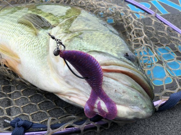 hideup 永野総一朗 ブログ写真 2018/08/17