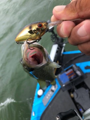 hideup 永野総一朗 ブログ写真 2018/08/18