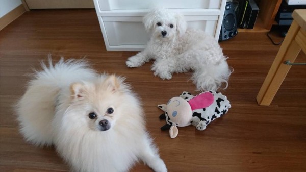 hideup 永野総一朗 ブログ写真 2018/08/22