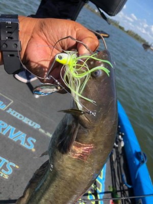 hideup 永野総一朗 ブログ写真 2018/08/25