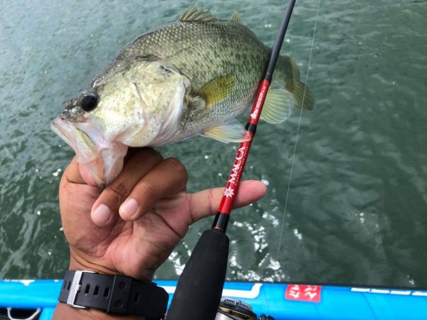 hideup 永野総一朗 ブログ写真 2018/08/25