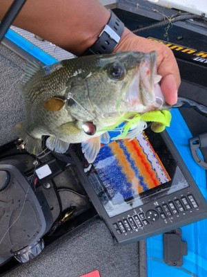 hideup 永野総一朗 ブログ写真 2018/08/26