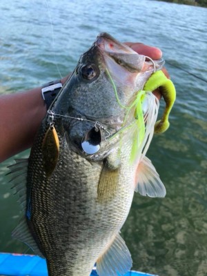 hideup 永野総一朗 ブログ写真 2018/08/26