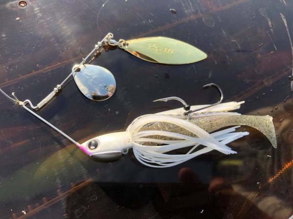 hideup 永野総一朗 ブログ写真 2018/08/27