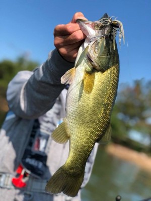 hideup 永野総一朗 ブログ写真 2018/08/27