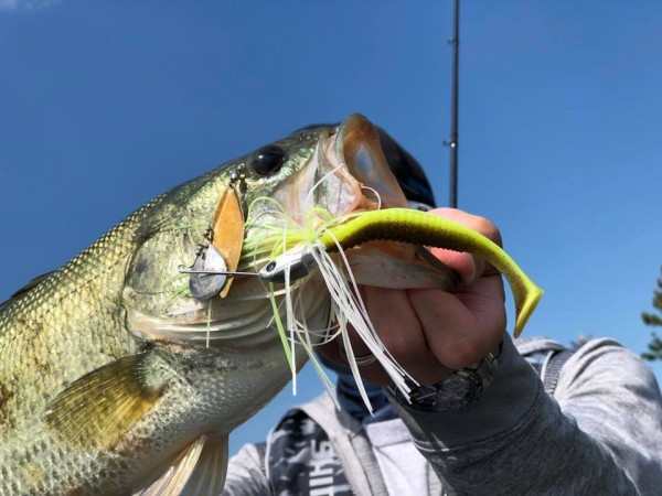 hideup 永野総一朗 ブログ写真 2018/08/27