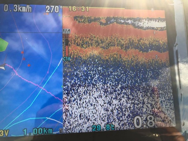 hideup 永野総一朗 ブログ写真 2018/08/27