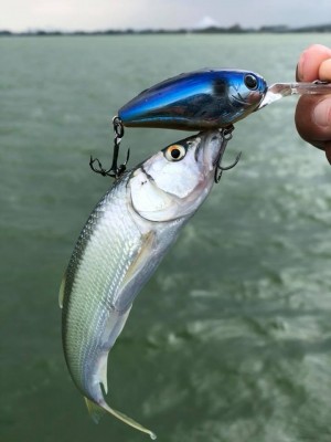 hideup 永野総一朗 ブログ写真 2018/09/01