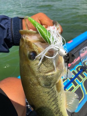 hideup 永野総一朗 ブログ写真 2018/09/01