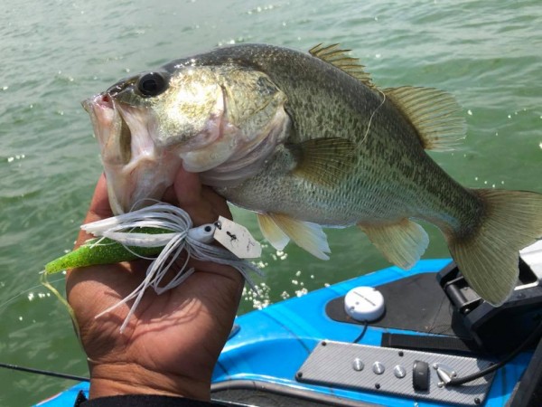 hideup 永野総一朗 ブログ写真 2018/09/01