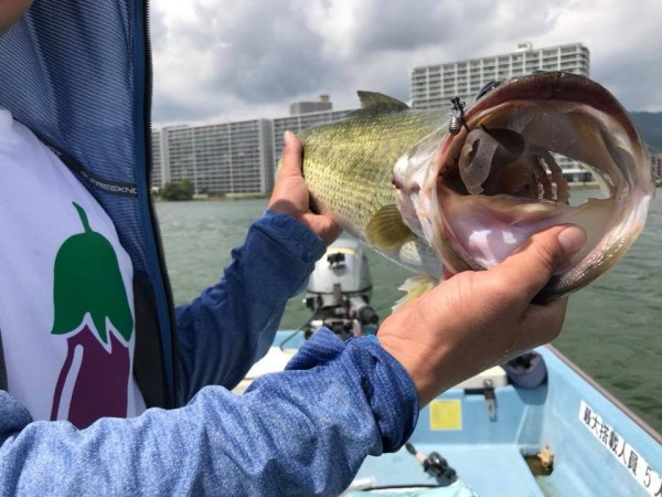 hideup 永野総一朗 ブログ写真 2018/09/04