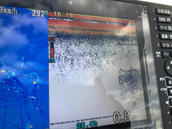 hideup 永野総一朗 ブログ写真 2018/09/05