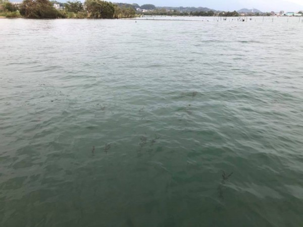 hideup 永野総一朗 ブログ写真 2018/09/06