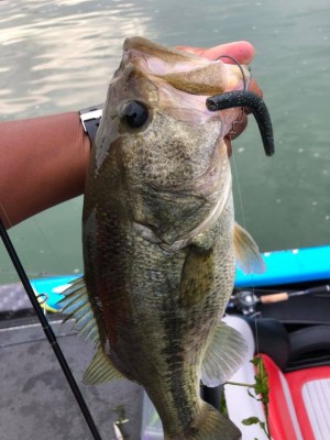 hideup 永野総一朗 ブログ写真 2018/09/06