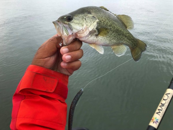 hideup 永野総一朗 ブログ写真 2018/09/08